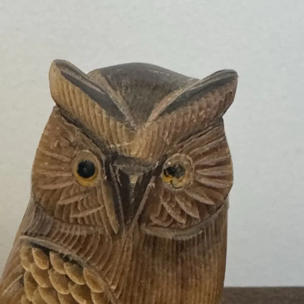 Hand Carved Owl Water Buffalo Horn Bird Figurine Acquired in Italy Gufo Artisan